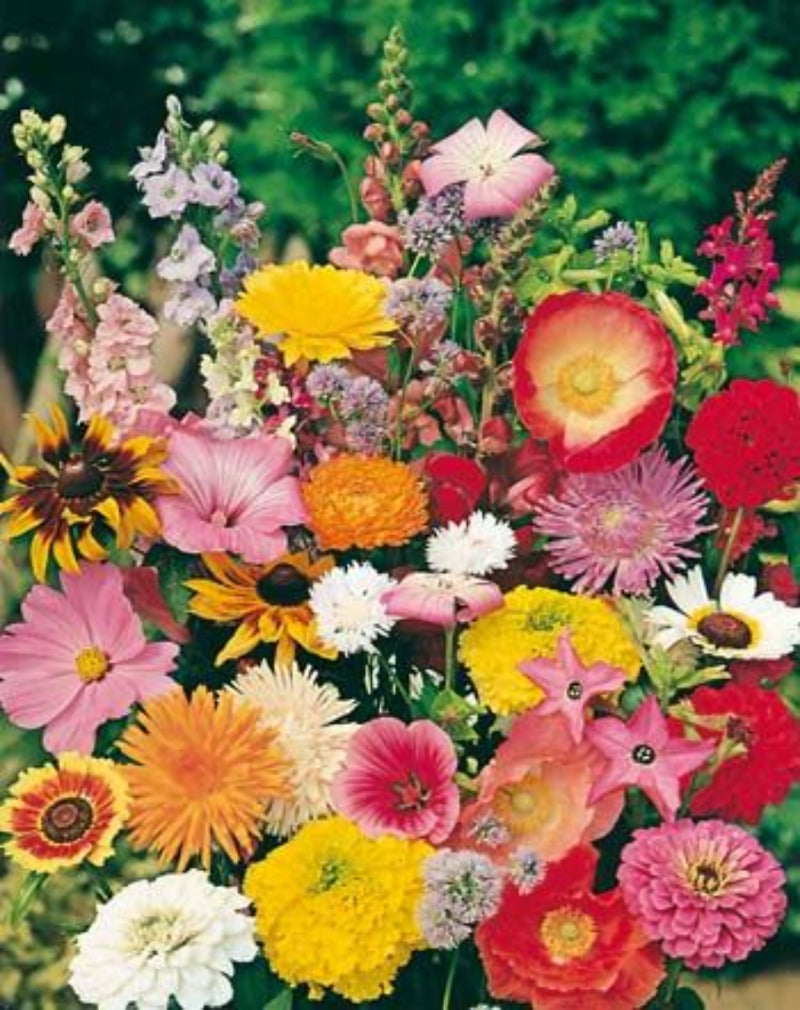 Cottage Garden Mixed Flower Seeds