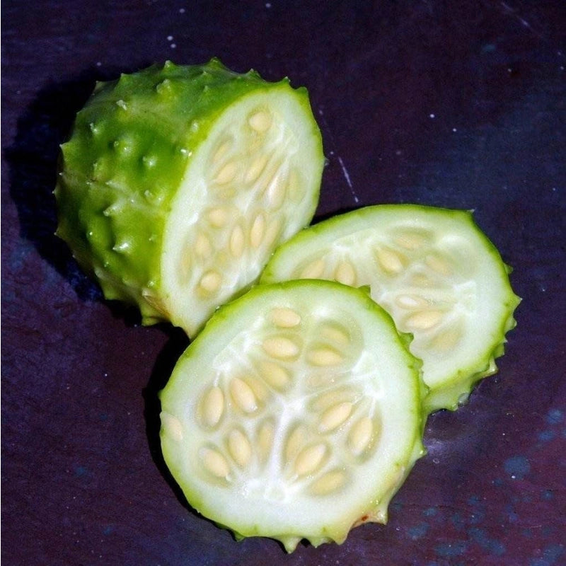 Cucumber - West Indian Gherkin Seeds