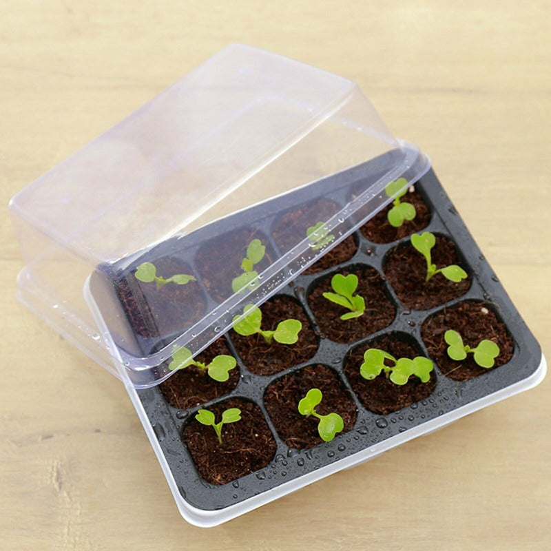 Seed Raising Starter Kit (2 x 12 Cell Seed Greenhouse + 1kg Premium Potting Mix)