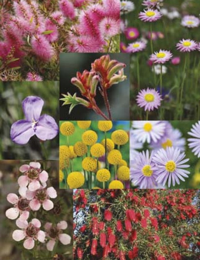 Australian native mixed flower seeds