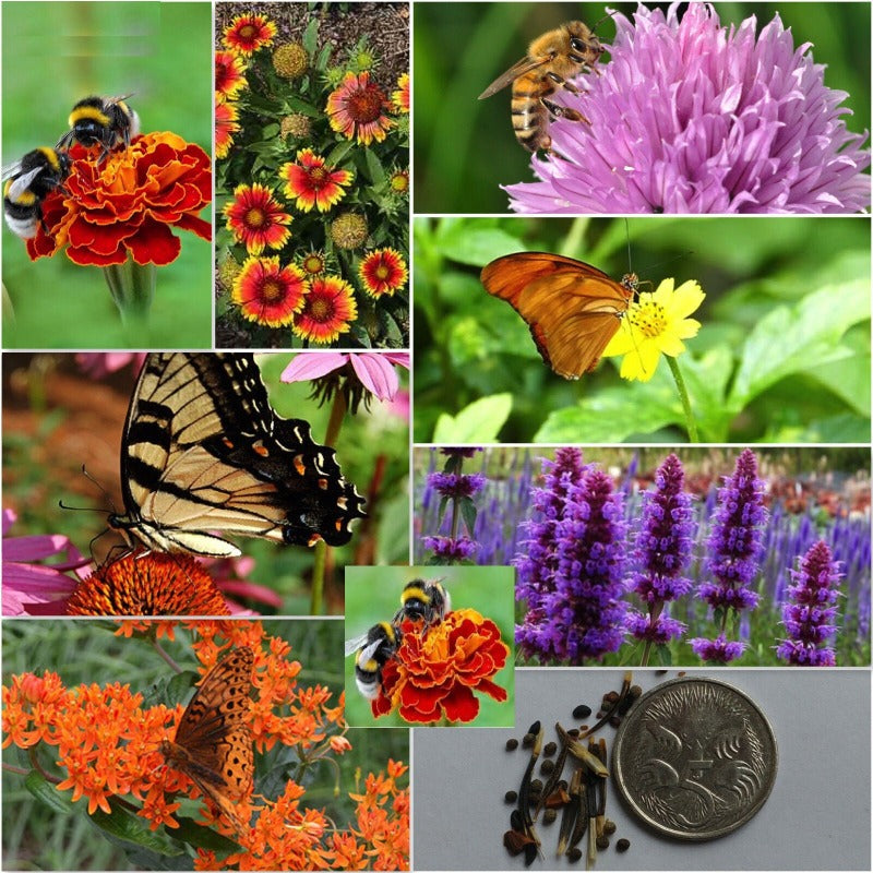 Bee & Butterfly Flower Mix - 1 Gram Mix Of Seeds - Australian Stock