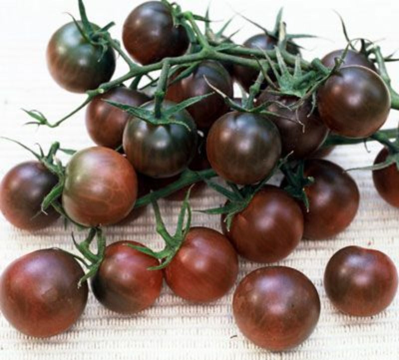 Black Pearl Cherry Tomato Seeds (Organic)