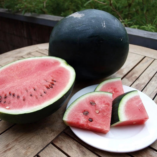 Watermelon Sugarbaby seeds